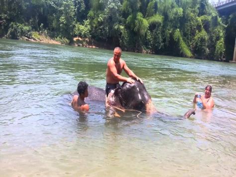 Swim with the elephants andaman